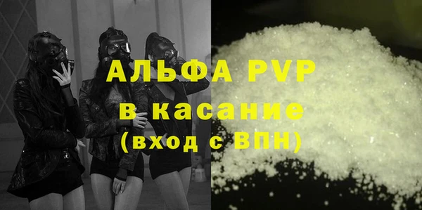 сатива Вяземский