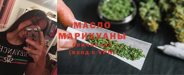 сатива Вяземский