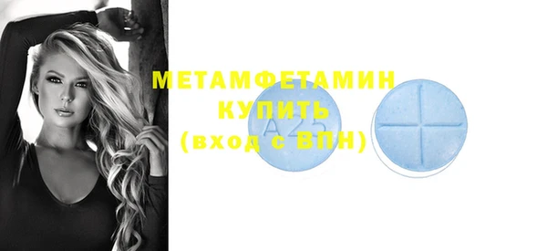 сатива Вяземский