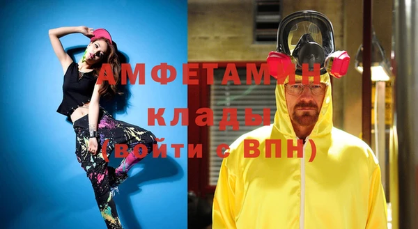 стаф Тутаев