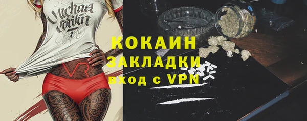 сатива Вяземский