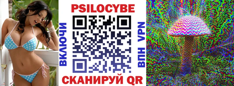маркетплейс Telegram  где купить   кракен зеркало  Ершов  Галлюциногенные грибы Cubensis 